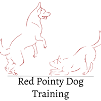 Red Pointy Dog Training