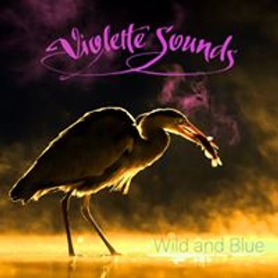 Violette Sounds