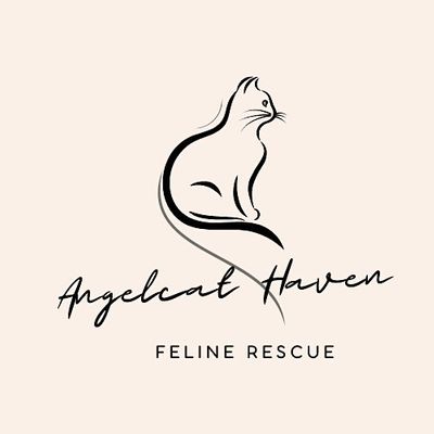 Angelcat Haven Feline Rescue