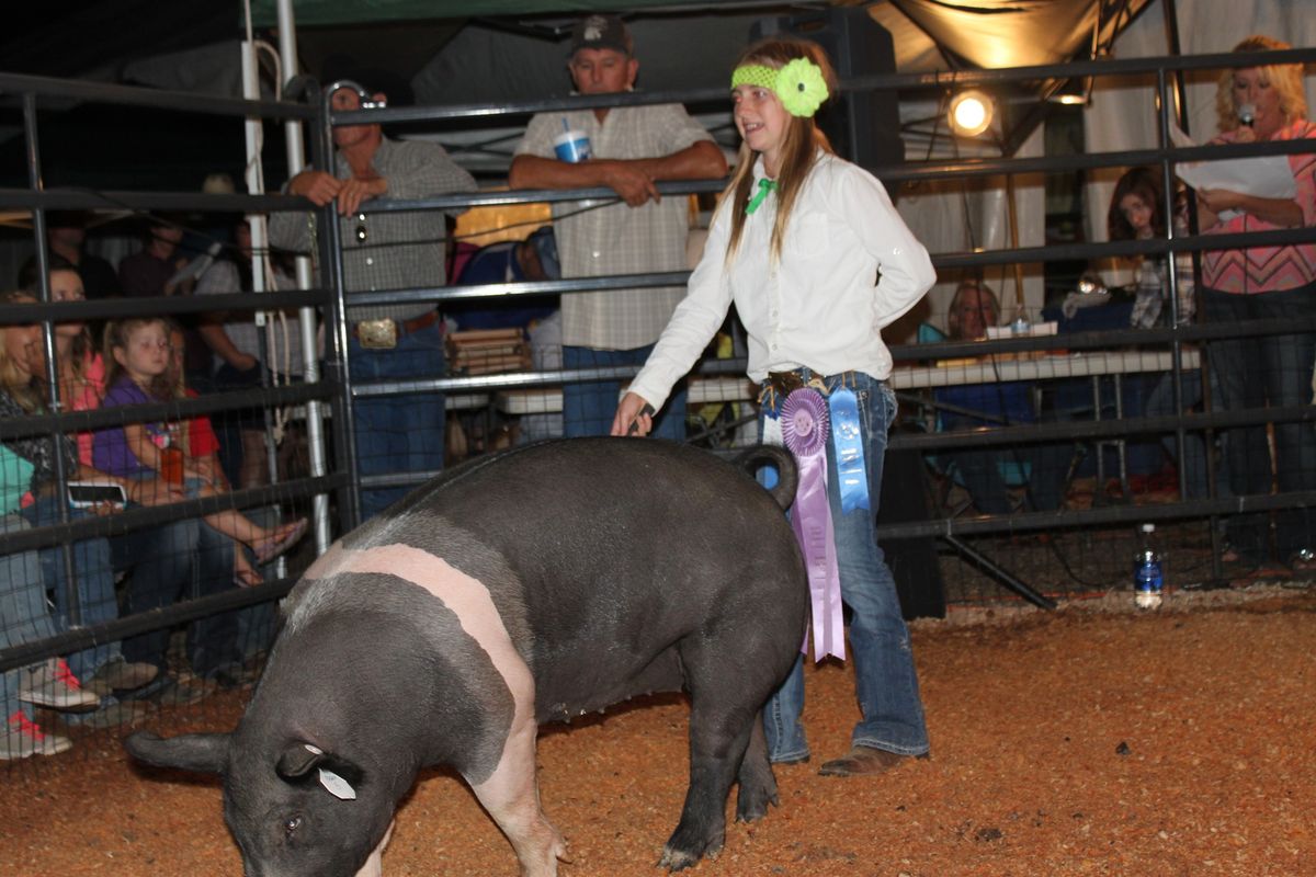 Northern Gila County Fair JR Livestock Auction Payson Event Center