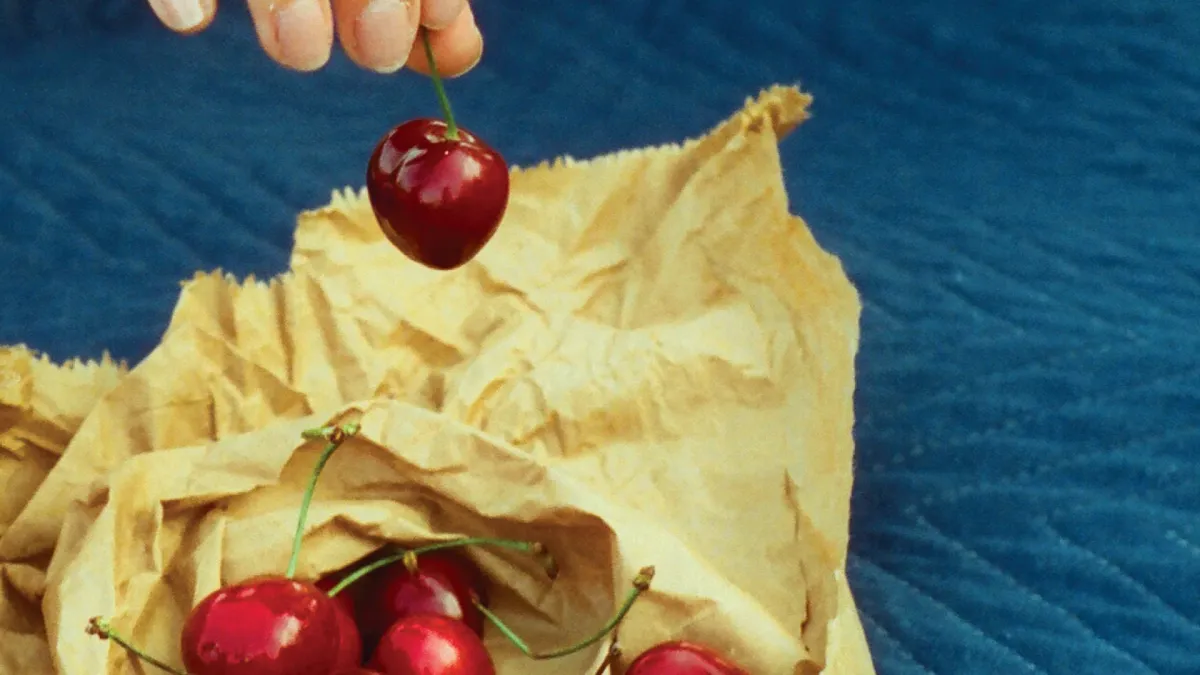 Nation of Language in Col. Centro Monterrey