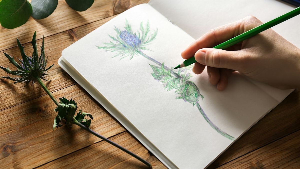 Intro to Nature Journaling
