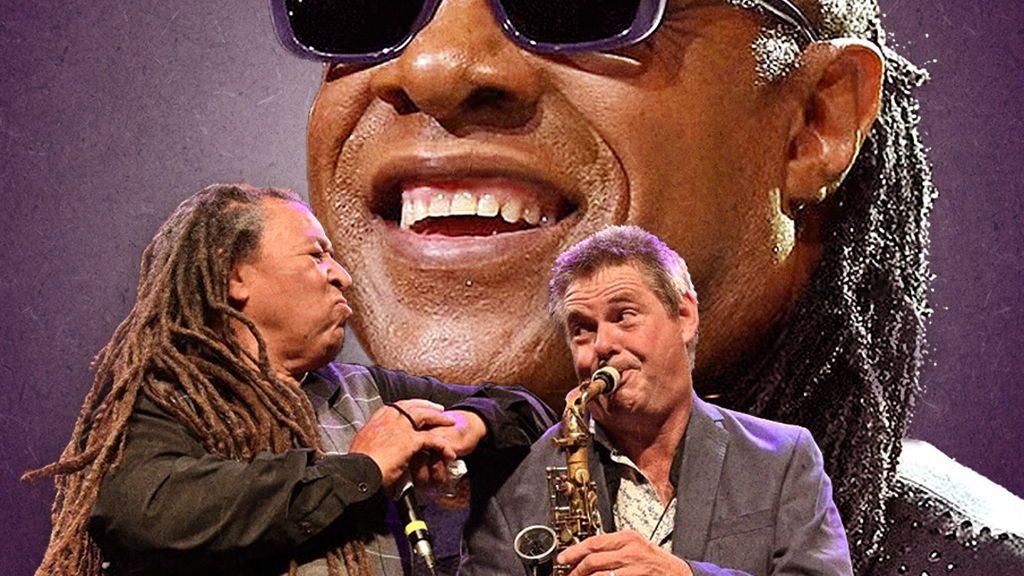 The Wonder of Stevie