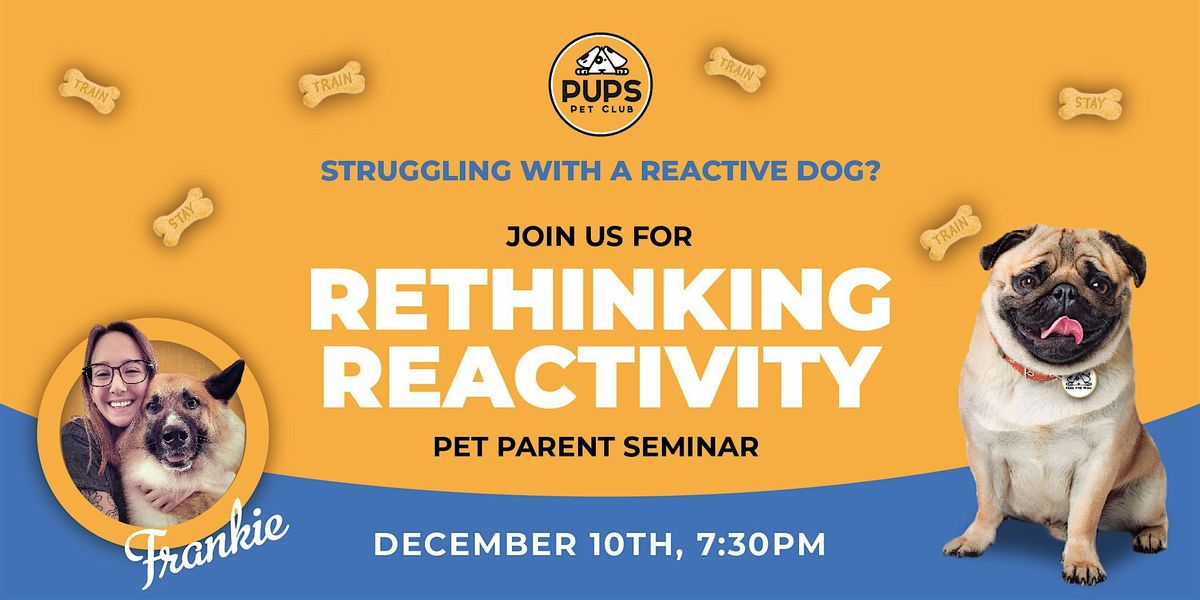 Rethinking Reactivity - Training Seminar for Pet Parents