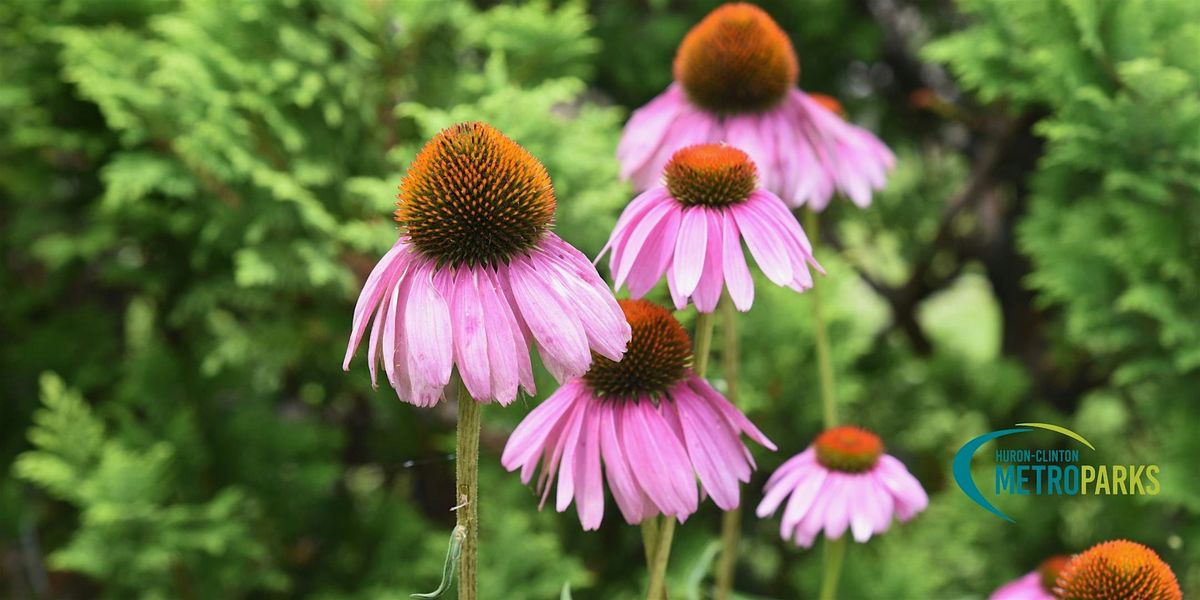 Native Plant Swap with Huron-Clinton Metroparks