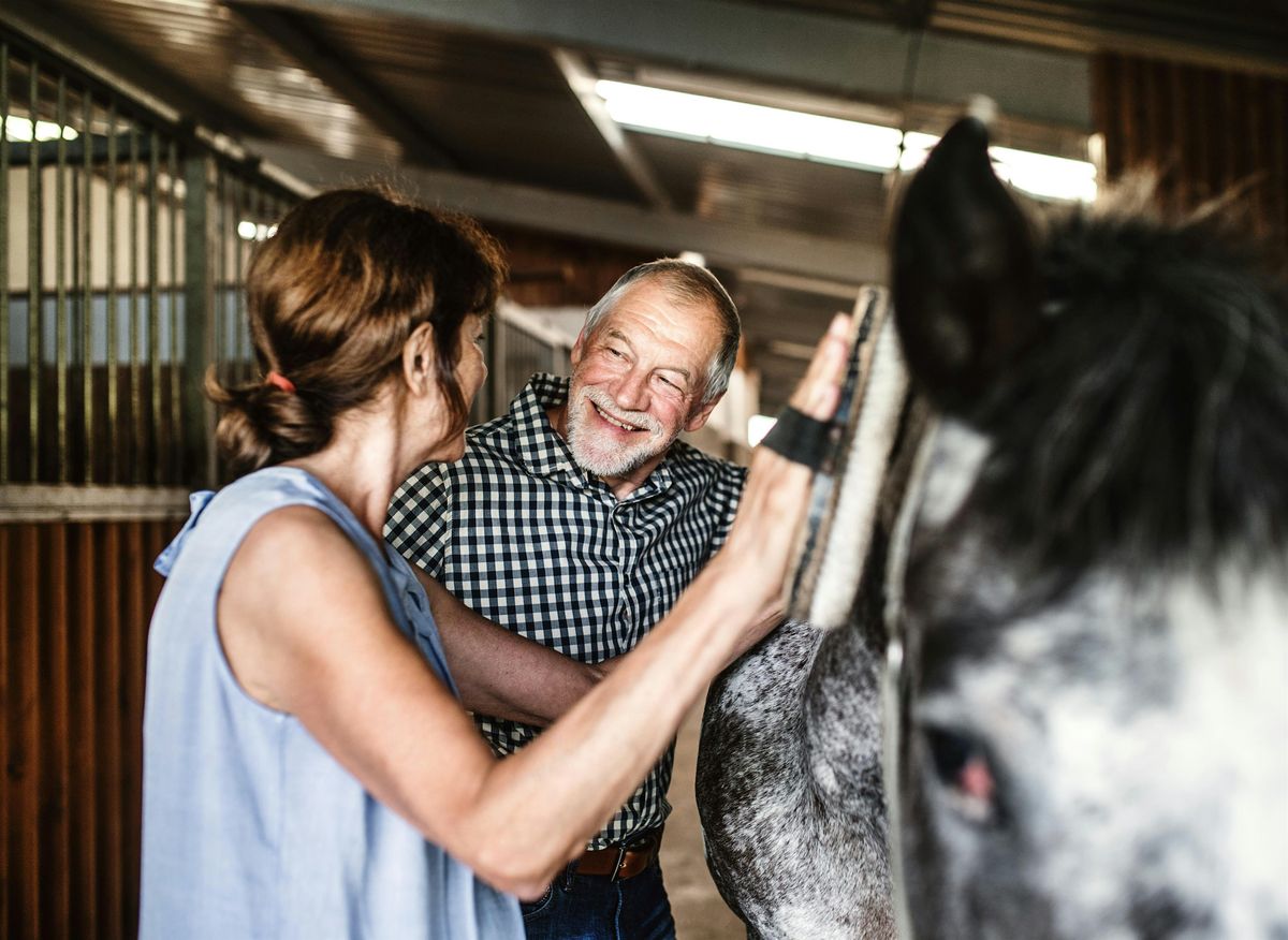 Discover Horses: hands-on horsemanship for all ages