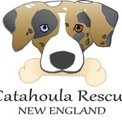 Catahoula Rescue of New England