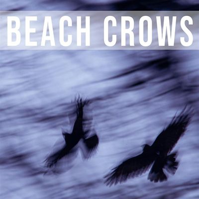 Beach Crows Promotion