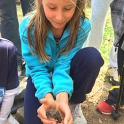 Warner Park Nature Center