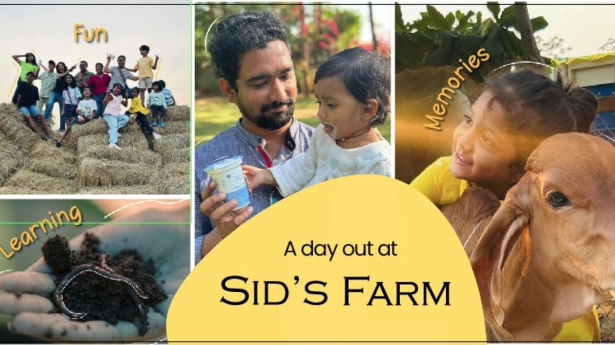 Sid's Farm Visit