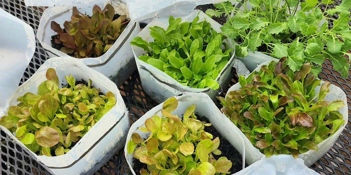 Winter Sowing Workshop