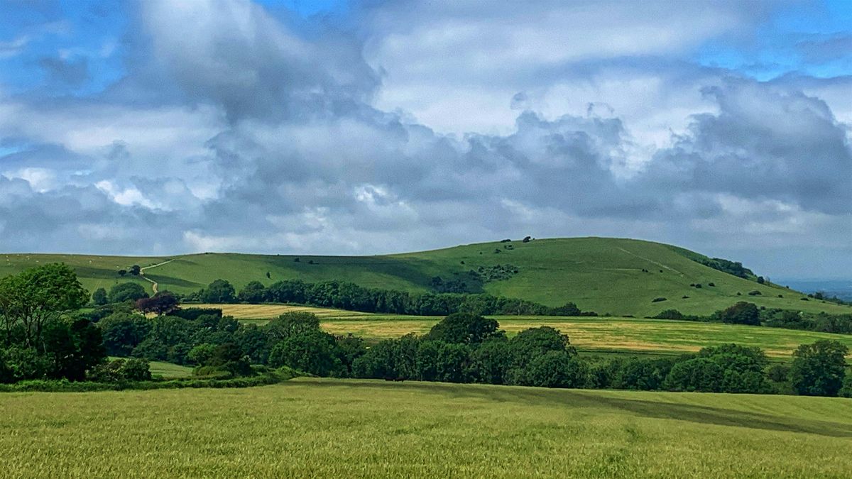 Midsummer Surrey Hills Three Peaks Challenge- Box, Leith and Holmbury Hill