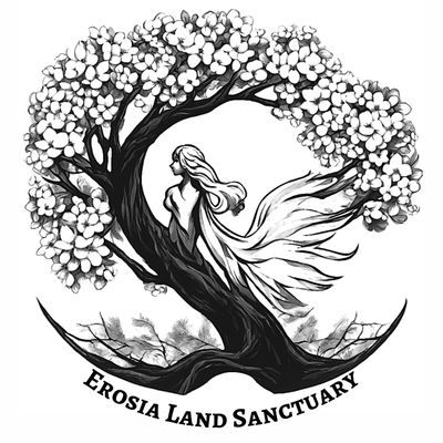 Erosia Land Sanctuary, Shelton, WA