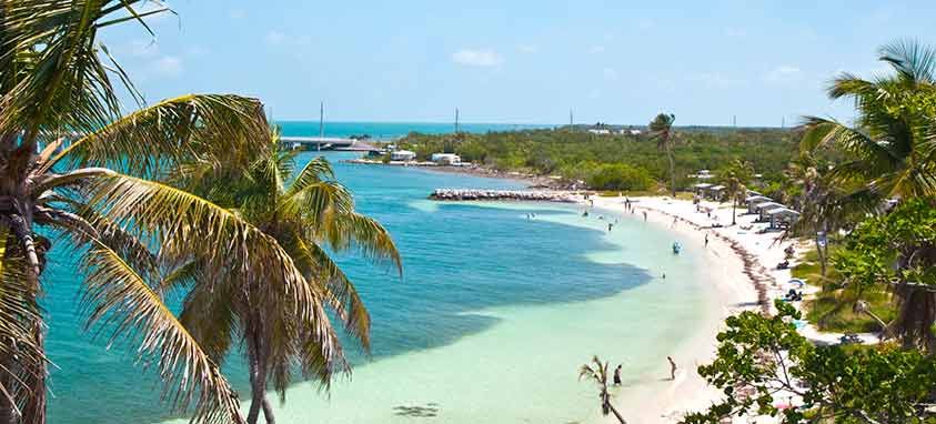 Turtle Hospital Field Trip