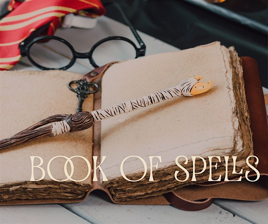 Ms. Rae's School of Magic for Young Witches and Wizards