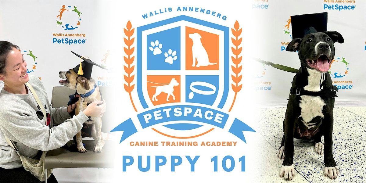 PetSpace Canine Training Academy: Puppy 101