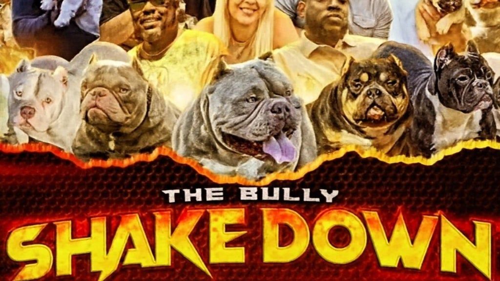 THE BULLY SHAKE DOWN