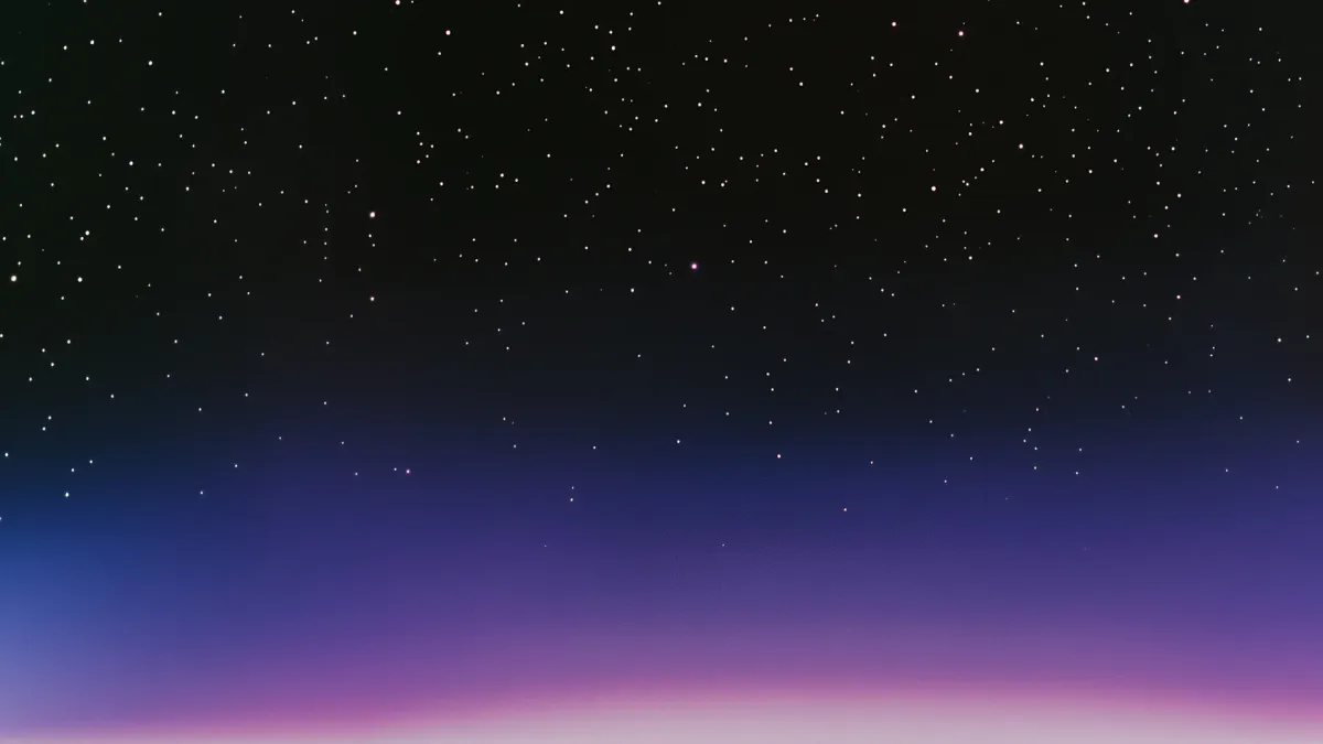 Miami Horror in Perth