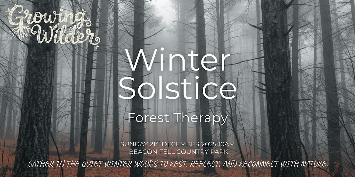 Winter Solstice Forest Therapy at Beacon Fell
