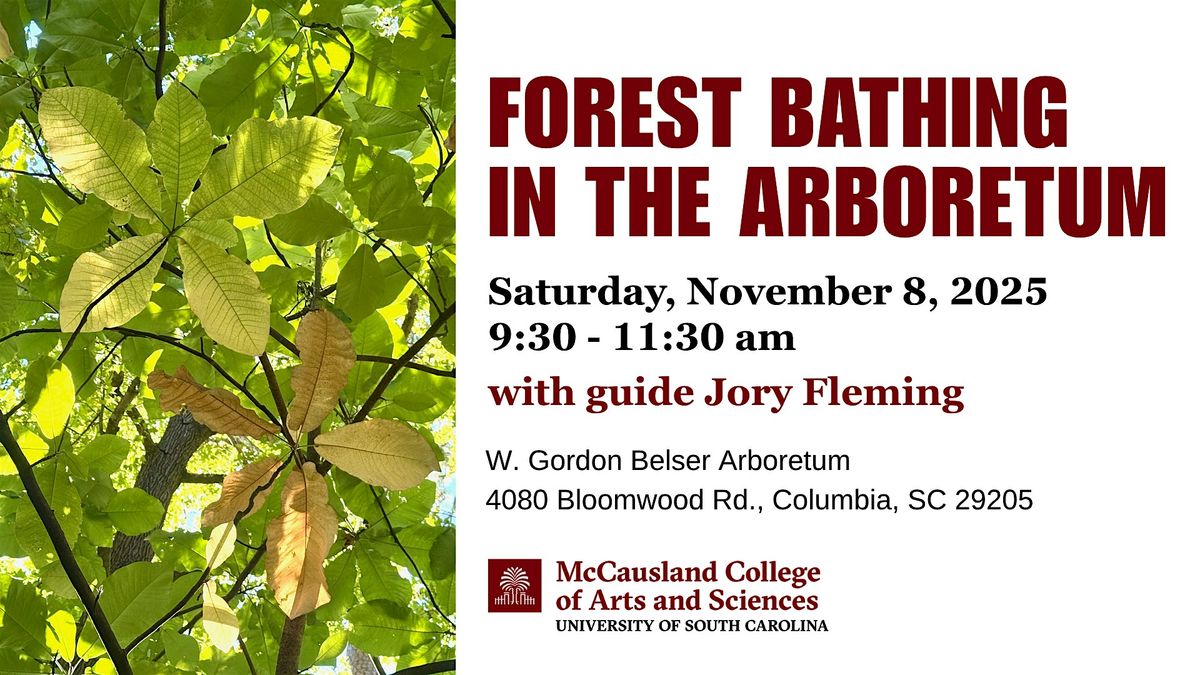 Forest Bathing in the Arboretum