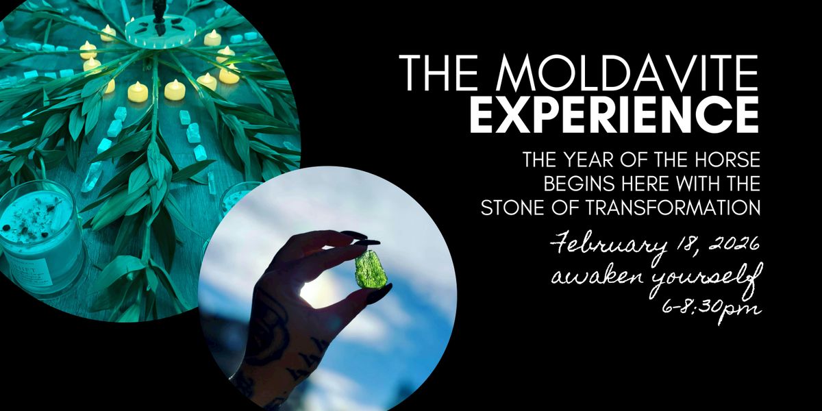 The Moldavite Experience : Welcoming the Year of the Horse
