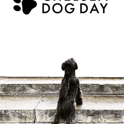 Chelsea Dog Day