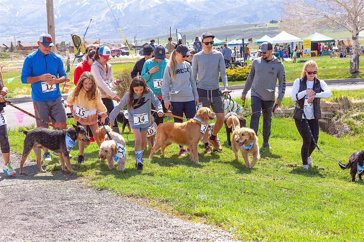 2026 - Dirty Dog 5K