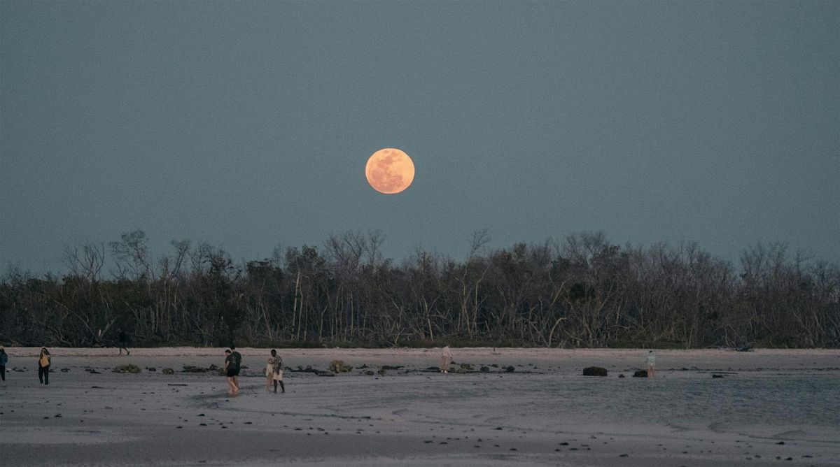 Full Moon Yoga & Reiki Circle