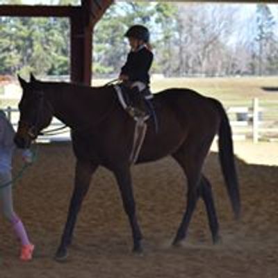 Hunters and Jumpers at Cool Breeze Stables