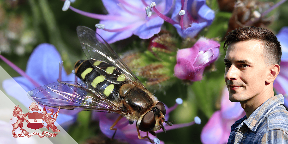 Discovering Insects | A Guided Walk Through Wandsworth Common