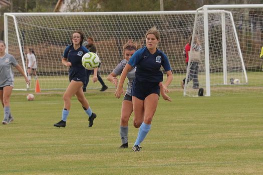 Gulf States Showcase