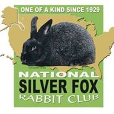 National Silver Fox Rabbit Club (Official)