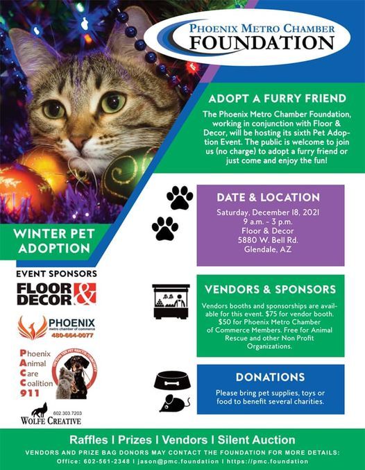 Phoenix Metro Chamber of Commerce Winter Pet Adoptions | Floor & Decor ( Glendale, AZ) | December 18, 2021
