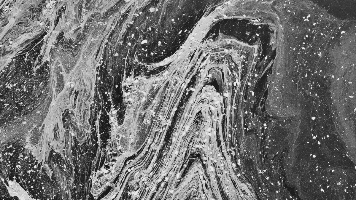 Boreal, Steven Taetz, Adam Baldwin, Vieux Farka Tour\u00e9, Son Rompe Pera, Absolute Losers, Etran de L'A\u00cfr, Quote the Raven, Bells Larsen, Sebastian Gaskin, Jon McKiel, Bibi Club, Hurray For The Riff Raff, Ballsy, Ruby Waters, DijahSB, Celeigh Cardinal, Petite Noir, Ghostkeeper, Lloyd Spiegel, Kelly McMichael, Lucius, Milk & Bone, Bria Salmena, Steve Poltz, Excuse Me., Los Bitchos, Tim Baker, Drezus, Ikky, Mexican Institute Of Sound, Ryan Young, Femi Kuti, Taylor Ashton, The Devin Cuddy Band, Lilyisthatyou, Jolie Laide, The Sarandons, Lex Leosis, Abigail Lapell in Guelph