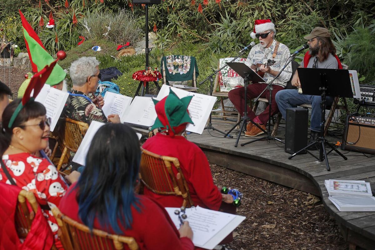 Parking Black Violin - Joliet