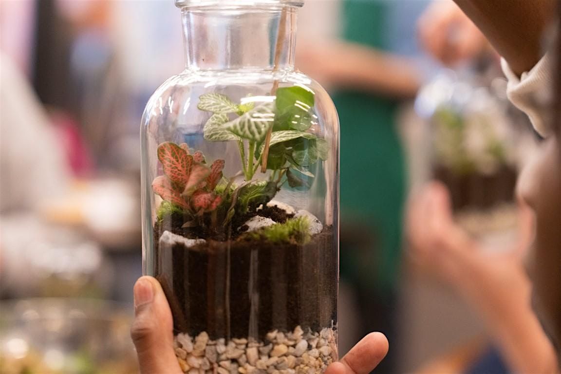 Terrarium Workshop with The Together Collective