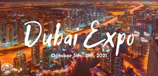 Dubai expo 2021 What Should