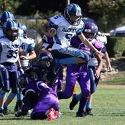 Oakmont Jr. Vikings Youth Football & Cheer