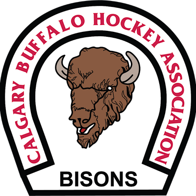 U15 AAA Bisons