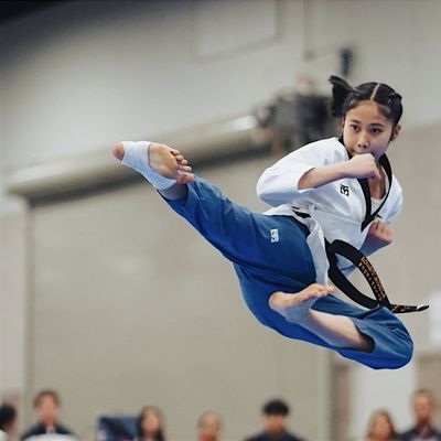 Michigan Sport Taekwondo