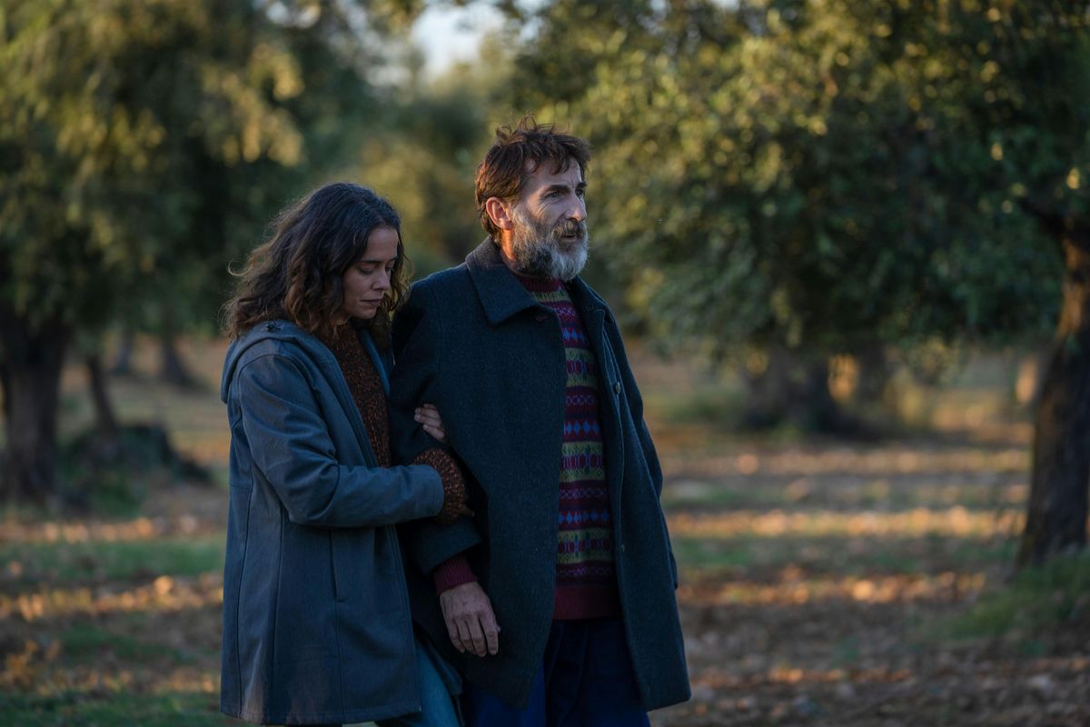 Free Screening of the film Los Destellos