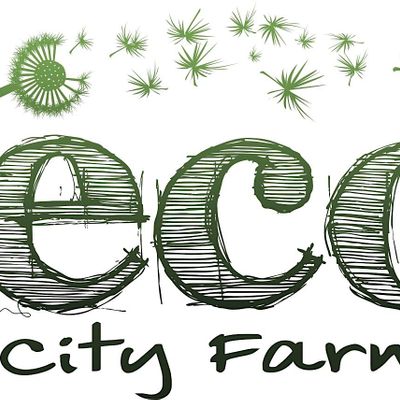 ECO City Farms
