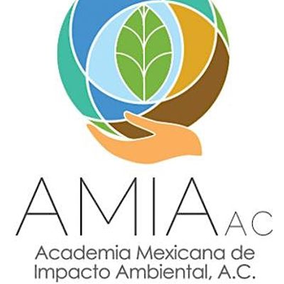 ACADEMIA MEXICANA DE IMPACTO AMBIENTAL
