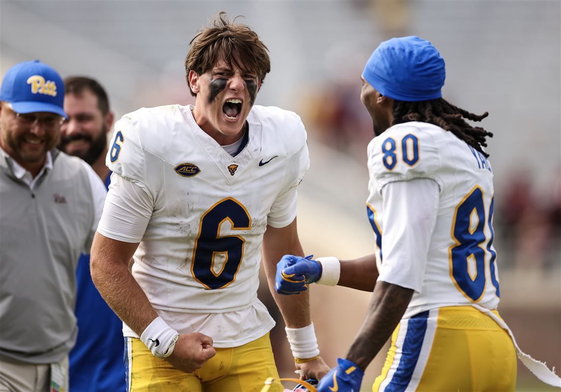 Pittsburgh Panthers at Florida State Seminoles Mens Baseball at Dick Howser Stadium