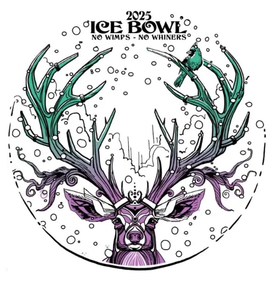 2025 DSM Ice Bowl Grandview Disc Golf Course, Des Moines, IA