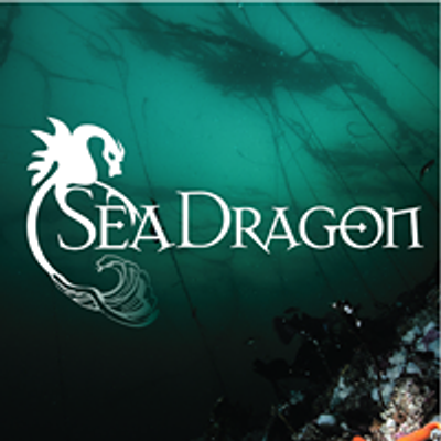 Sea Dragon Charters