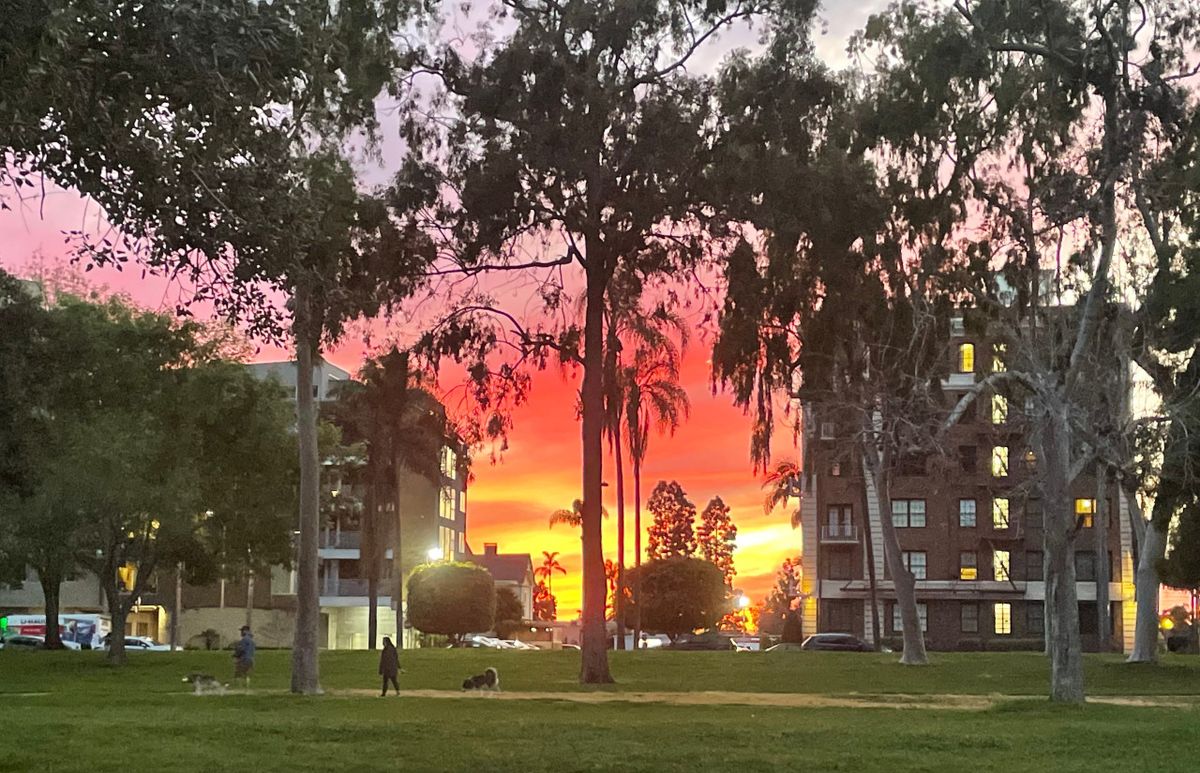 Parking Blood Orange