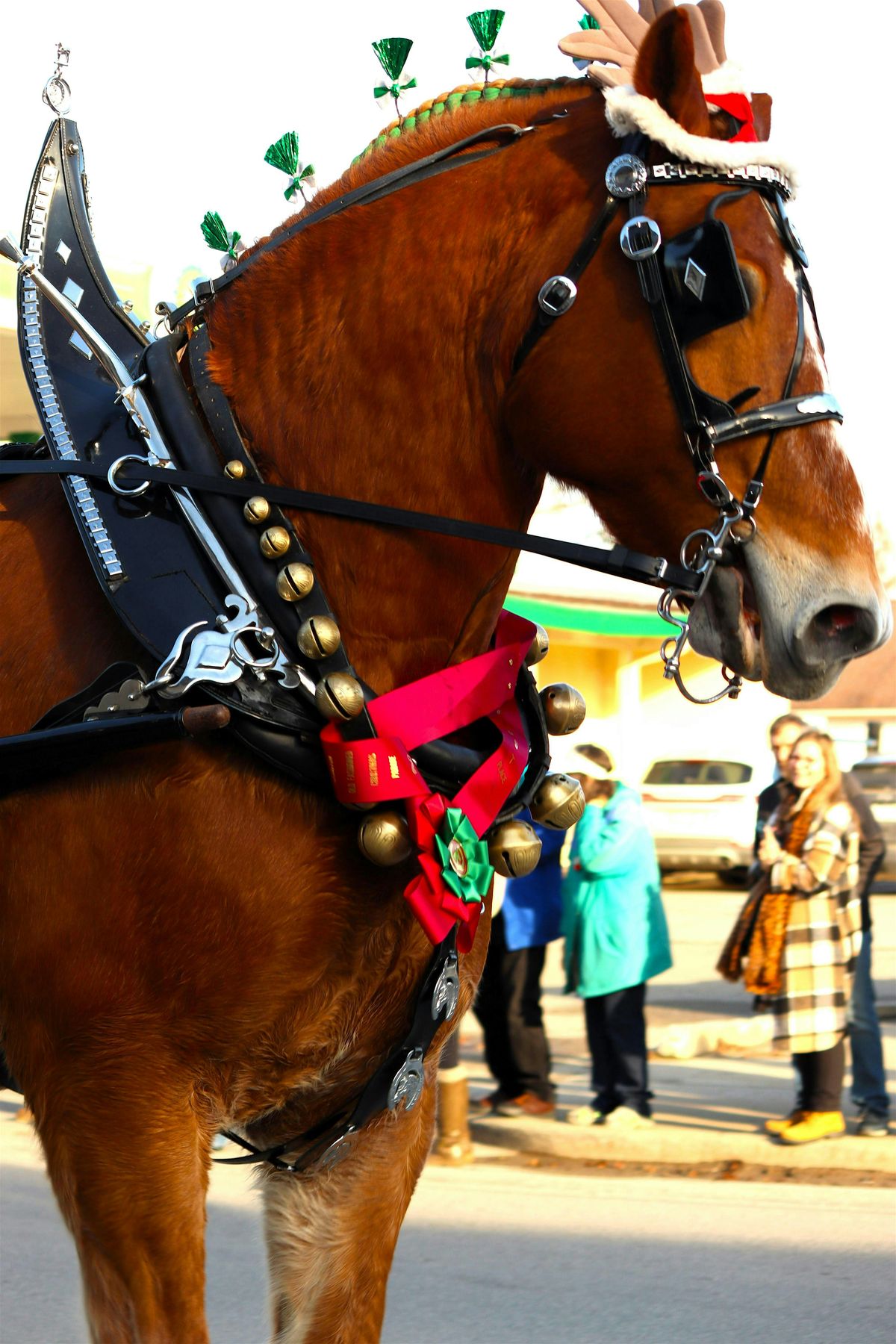 15th Annual Lexington Old Fashion Christmas Horse Parade