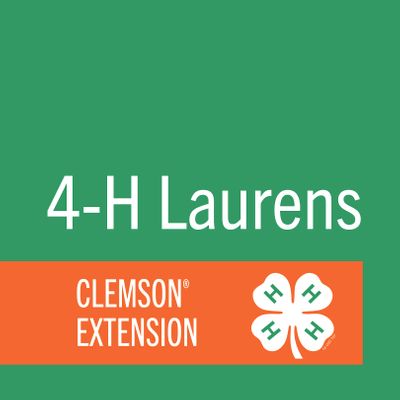 Laurens County 4-H