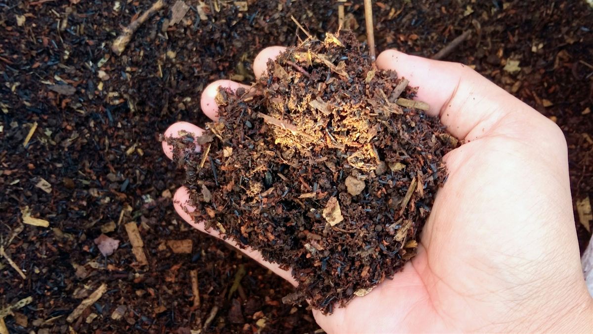 Plant Sale Class: Soil Amendments & Natural Fertilizers